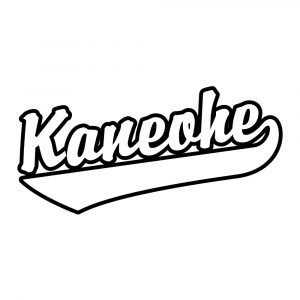 Kaneohe Adult Sports